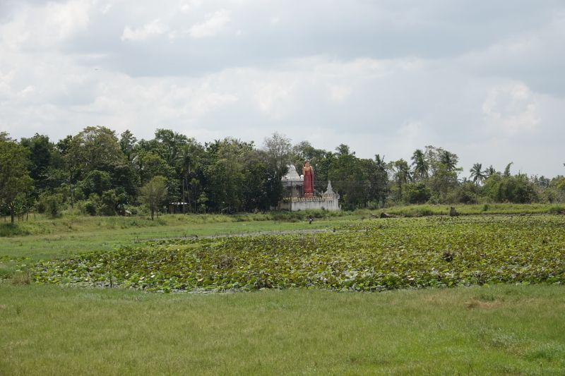 Viewing photos→2019→2019-02-02-1→182