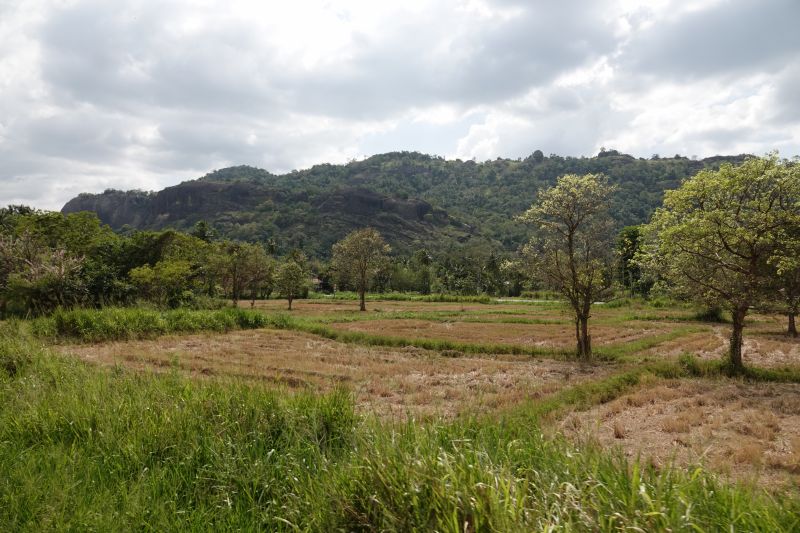 Viewing photos→2019→2019-02-02-1→183