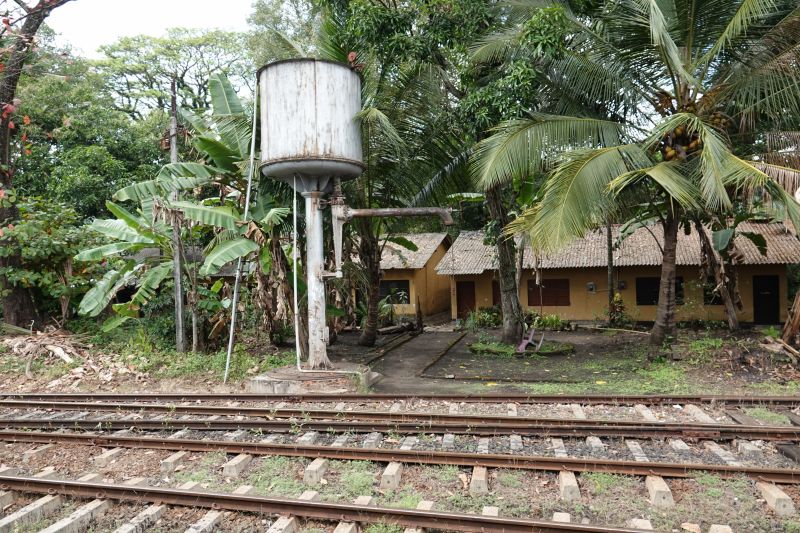 Viewing photos→2019→2019-02-02-1→187