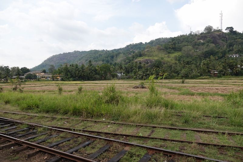 Viewing photos→2019→2019-02-02-1→189