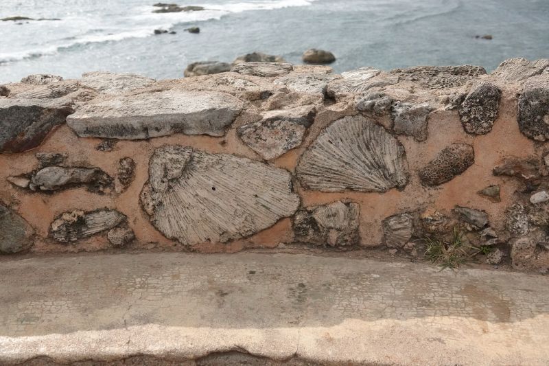 Viewing photos→2019→2019-02-02-2→16