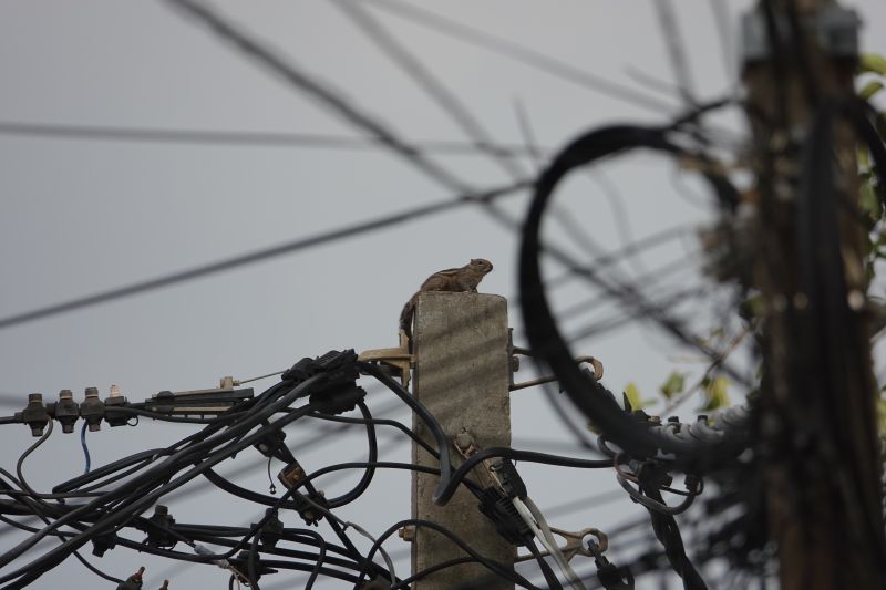 Viewing photos→2019→2019-02-02-2→26