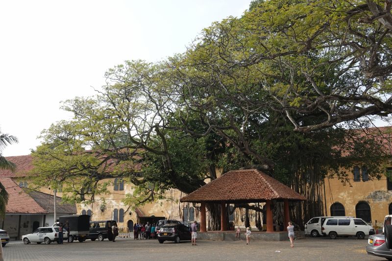 Viewing photos→2019→2019-02-02-2→30