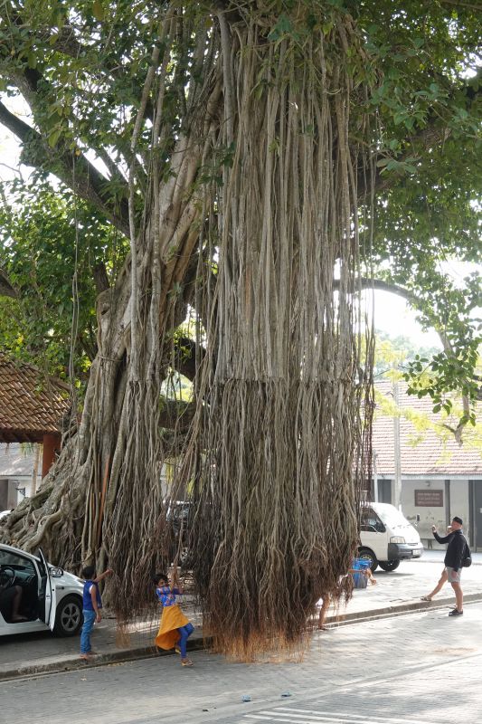 Viewing photos→2019→2019-02-02-2→36