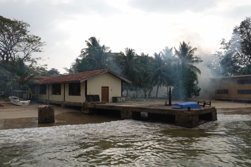 Viewing photos→2019→2019-02-02-2→42