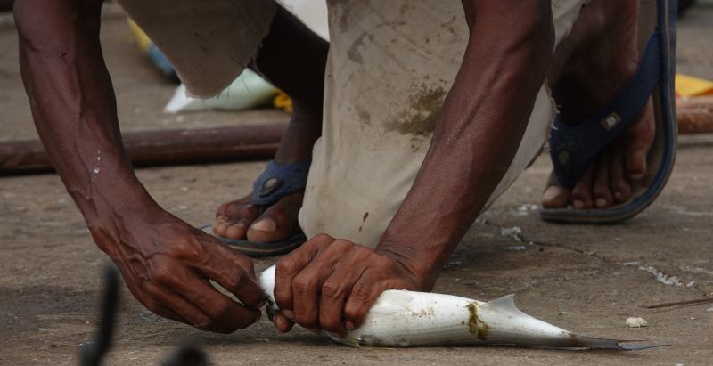 Viewing photos→2019→2019-02-02-2→44