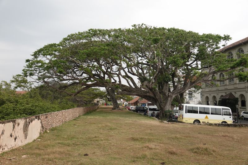 Viewing photos→2019→2019-02-02-2→50