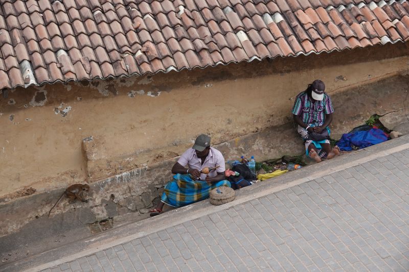 Viewing photos→2019→2019-02-02-2→70