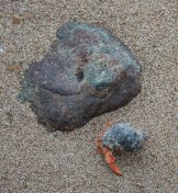 76.jpeg - 2019:02:02 11:59:27