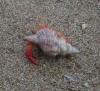 83.jpeg - 2019:02:02 12:26:01