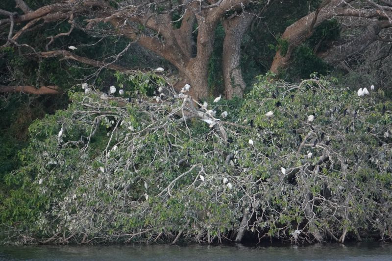 Viewing photos→2019→2019-02-03→03