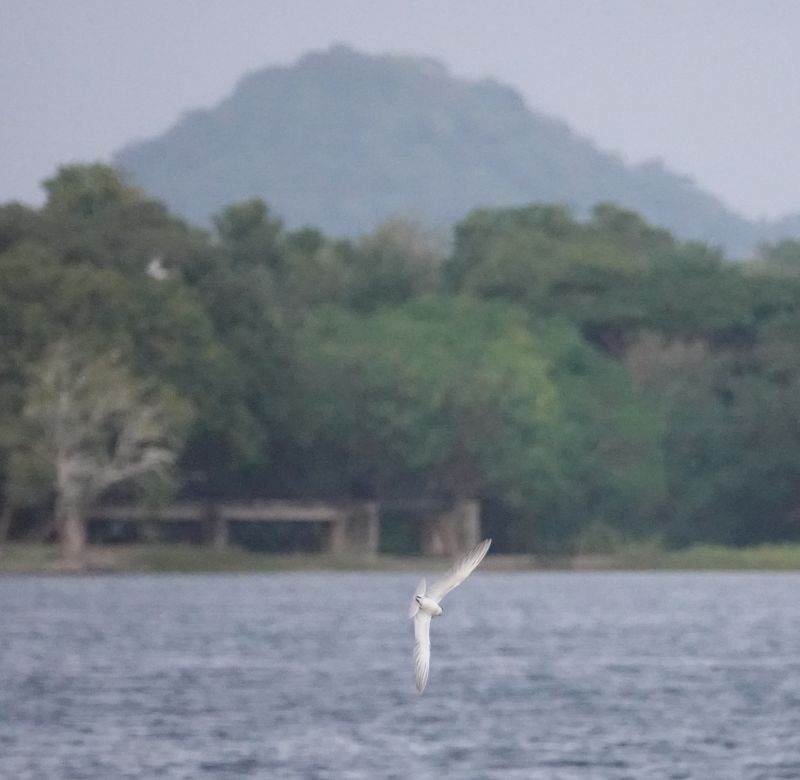 Viewing photos→2019→2019-02-03→09