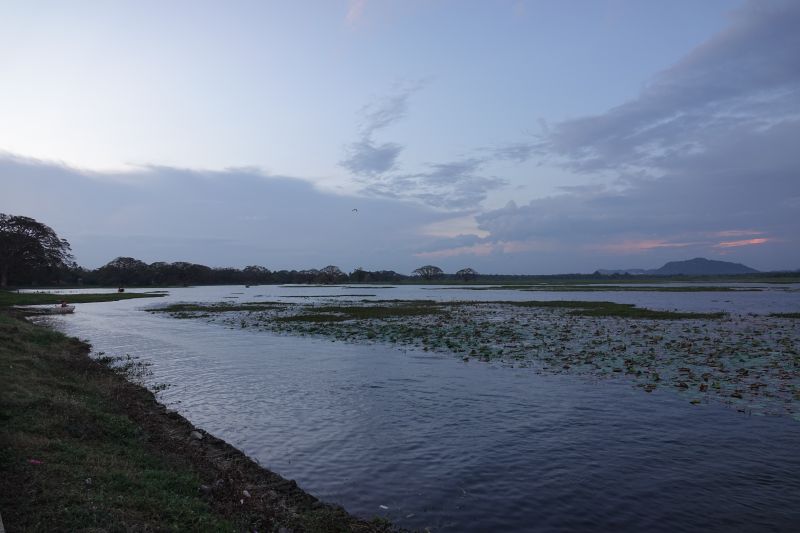 Viewing photos→2019→2019-02-03→25