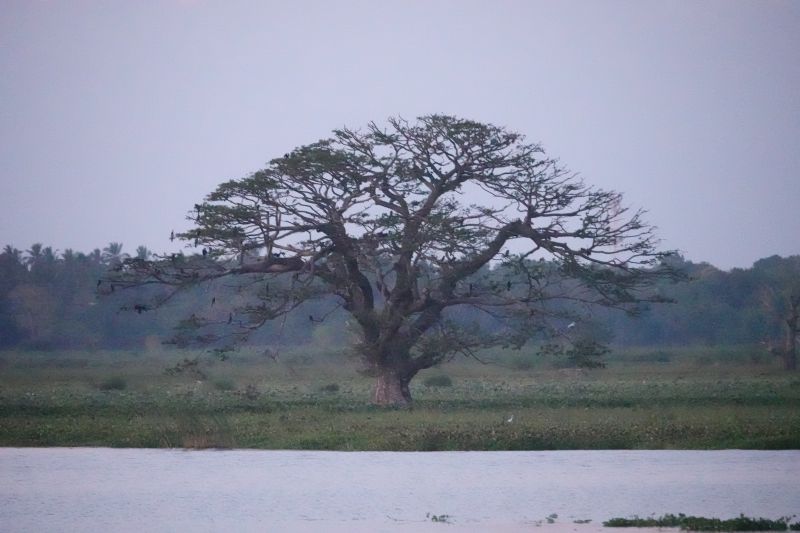 Viewing photos→2019→2019-02-03→31