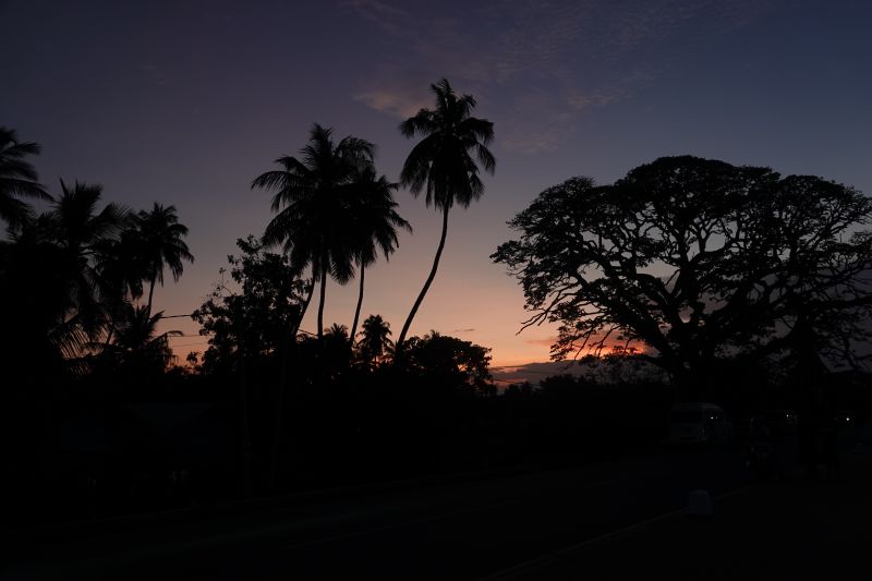 Viewing photos→2019→2019-02-03→33