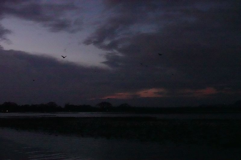 Viewing photos→2019→2019-02-03→37