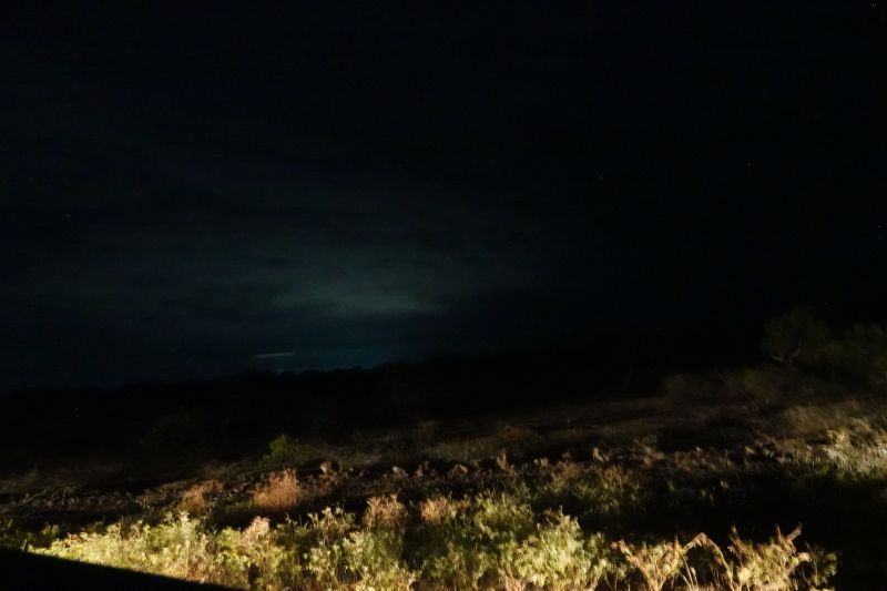 Viewing photos→2019→2019-02-04→002