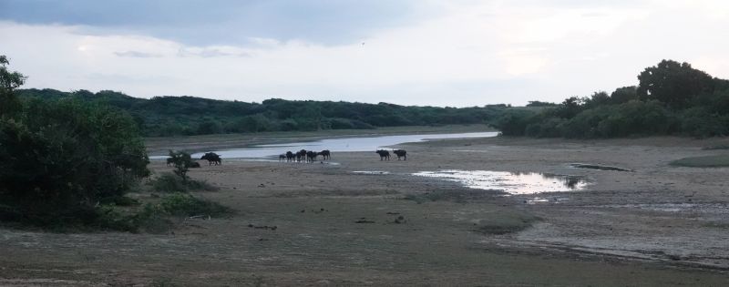 Viewing photos→2019→2019-02-04→004