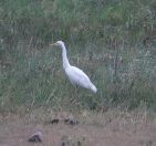 005.jpeg - 2019:02:04 00:56:22