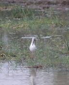 007.jpeg - 2019:02:04 01:02:21