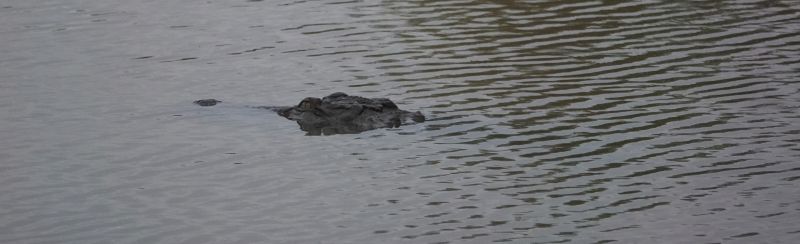 Viewing photos→2019→2019-02-04→009