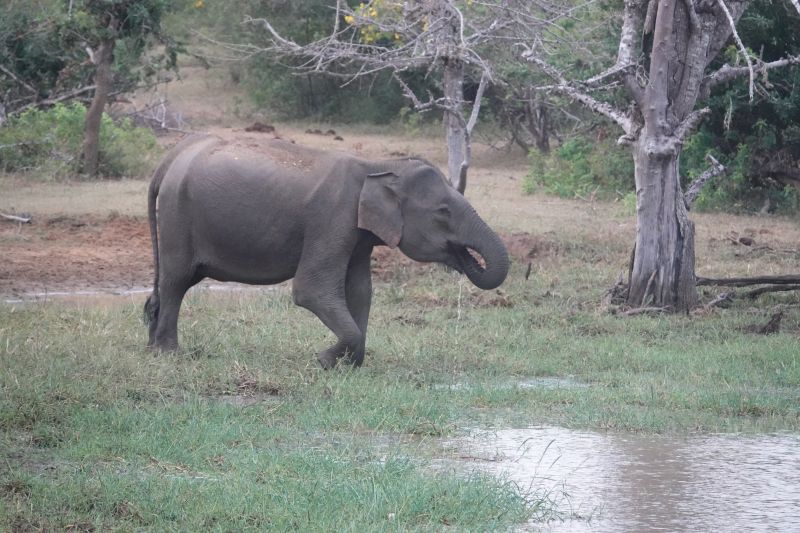 Viewing photos→2019→2019-02-04→012