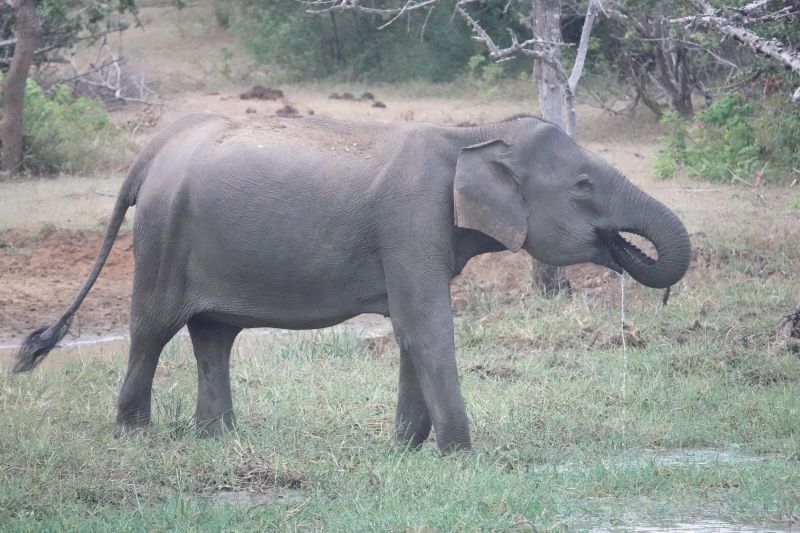 Viewing photos→2019→2019-02-04→013