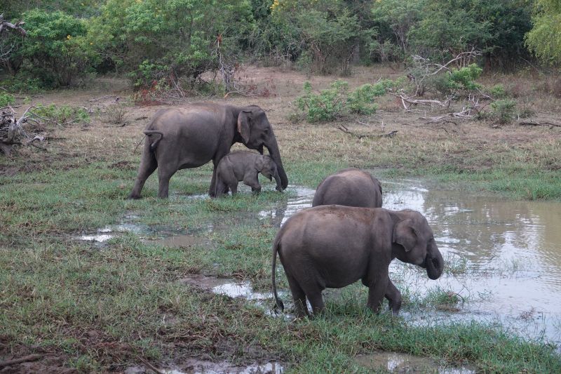 Viewing photos→2019→2019-02-04→023