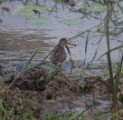 026.jpeg - 2019:02:04 01:15:49