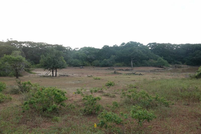 Viewing photos→2019→2019-02-04→028