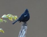 031.jpeg - 2019:02:04 01:35:04