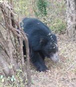 034.jpeg - 2019:02:04 01:43:04