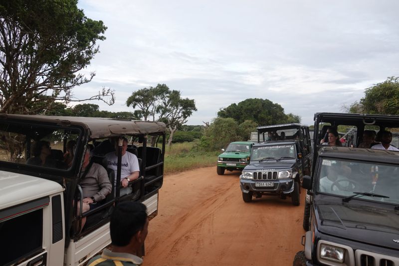 Viewing photos→2019→2019-02-04→038