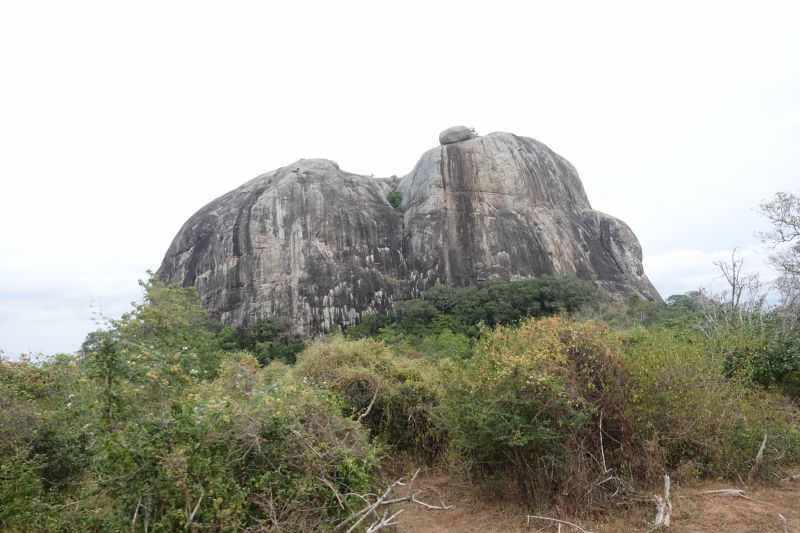 Viewing photos→2019→2019-02-04→039