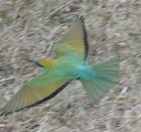 044.jpeg - 2019:02:04 03:02:15