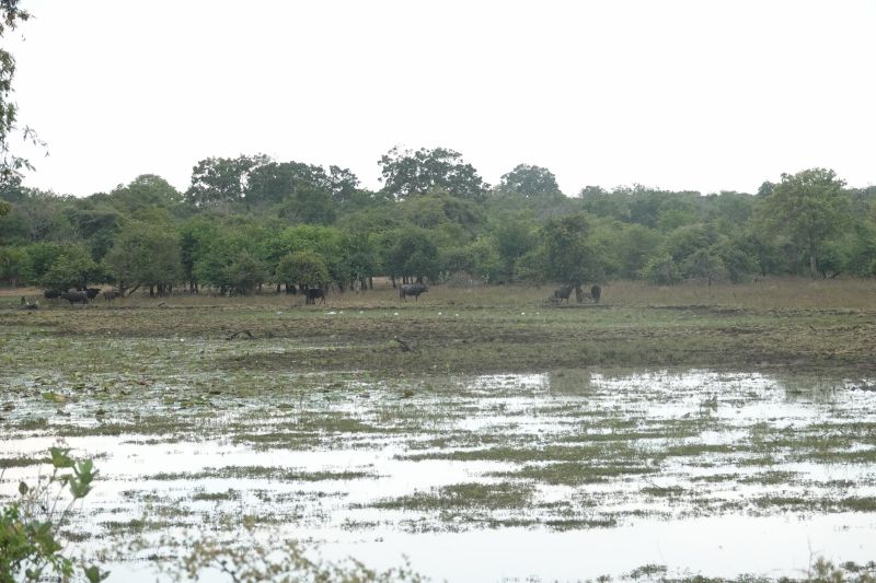 Viewing photos→2019→2019-02-04→045