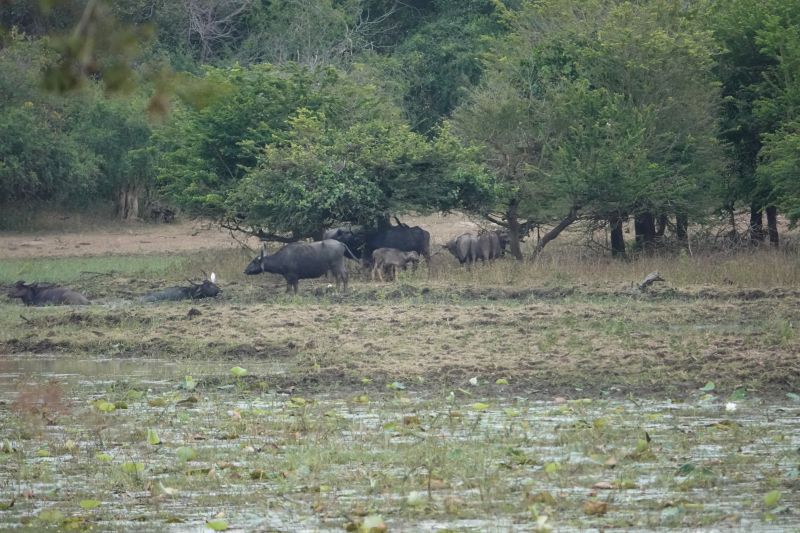 Viewing photos→2019→2019-02-04→046