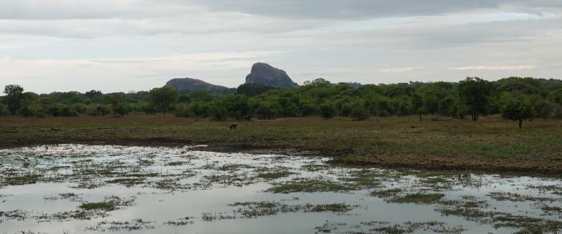 Viewing photos→2019→2019-02-04→049