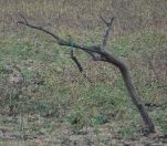 051.jpeg - 2019:02:04 03:16:50