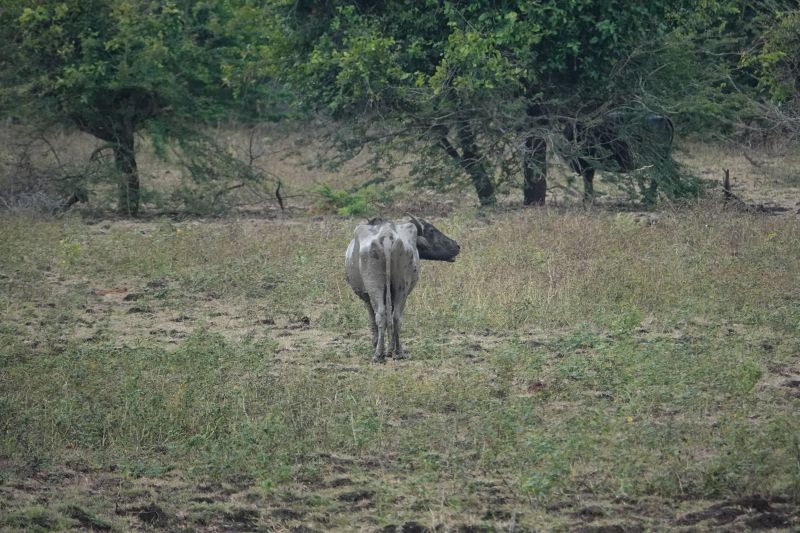 Viewing photos→2019→2019-02-04→052