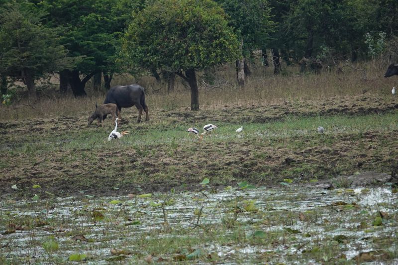 Viewing photos→2019→2019-02-04→057