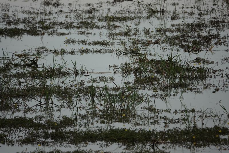 Viewing photos→2019→2019-02-04→059