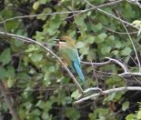 062.jpeg - 2019:02:04 03:36:31