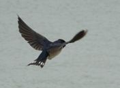 073.jpeg - 2019:02:04 04:03:19