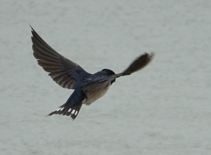 Viewing photos→2019→2019-02-04→073