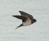 074.jpeg - 2019:02:04 04:05:14