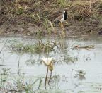 075.jpeg - 2019:02:04 04:06:34