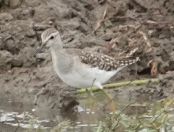 076.jpeg - 2019:02:04 04:06:42