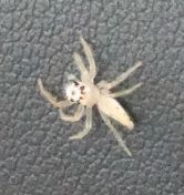 077.jpeg - 2019:02:04 04:07:46