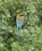 079.jpeg - 2019:02:04 04:10:23